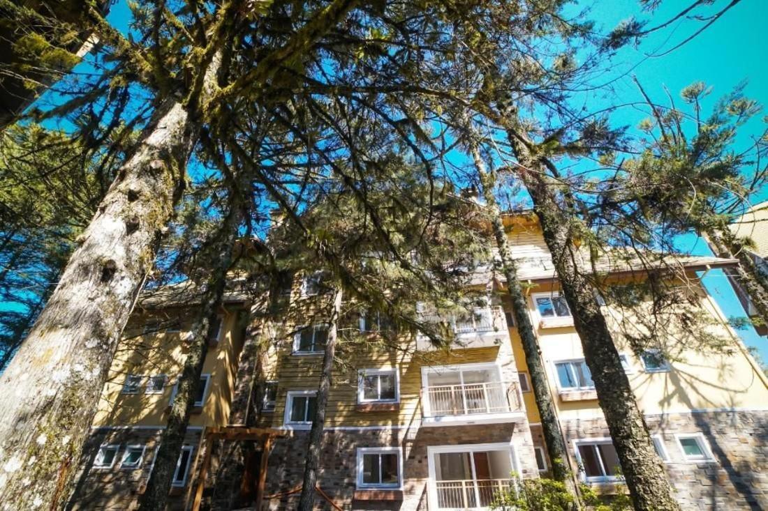 Apto 103 B,2, Proximo A Museus E Restaurantes, Condominio Com Piscina Aquecida. グラマド エクステリア 写真